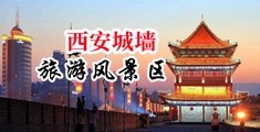 大鸡巴小逼逼xxxxx中国陕西-西安城墙旅游风景区